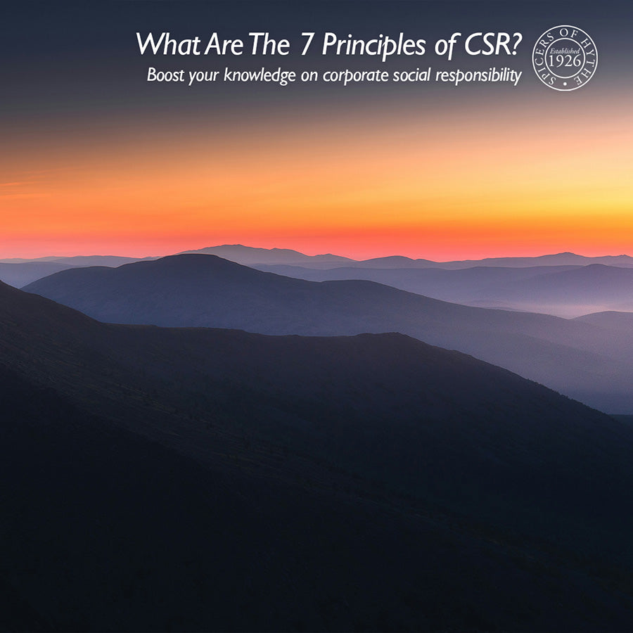 The 7 Principles of Corporate Social Responsibility 
