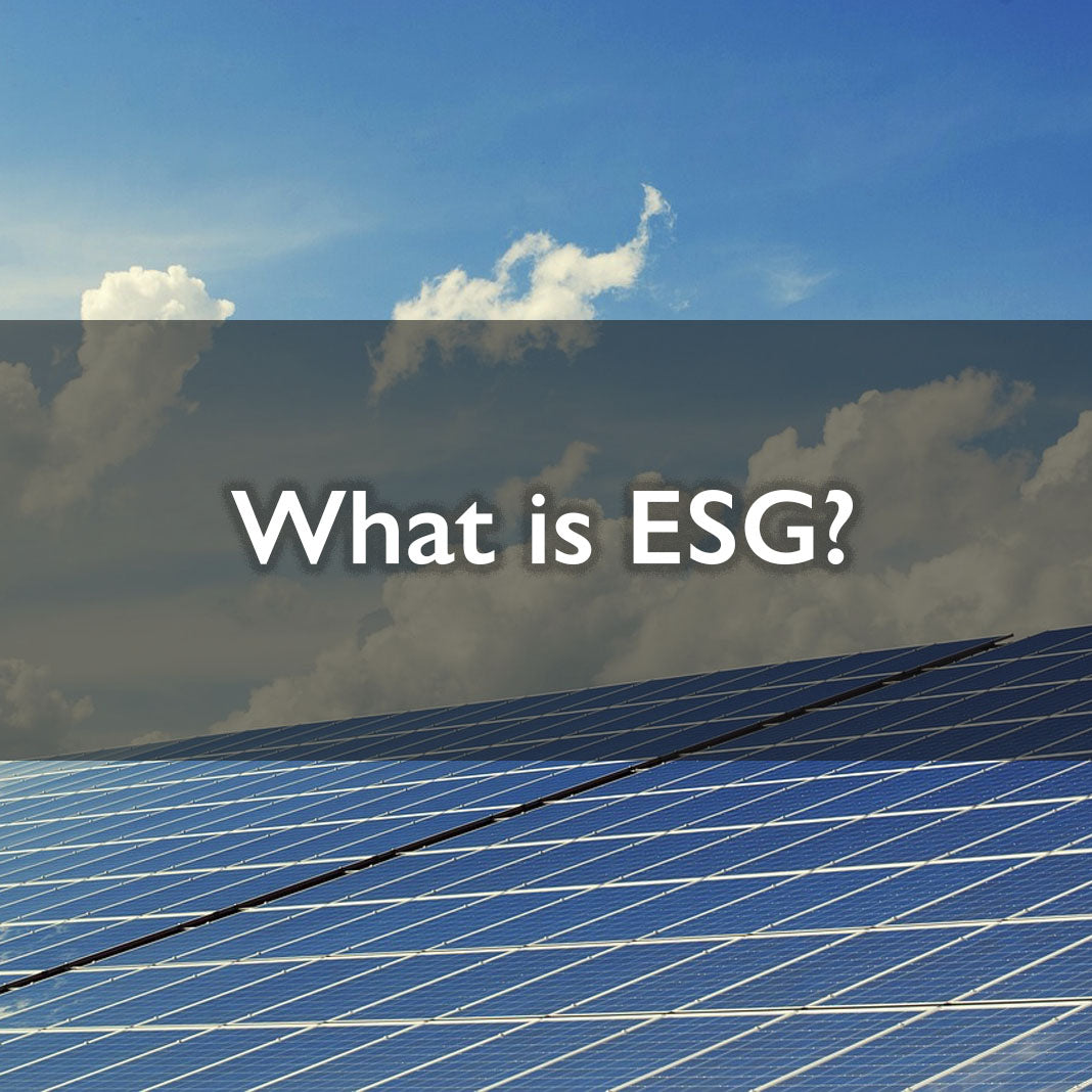 What is ESG?