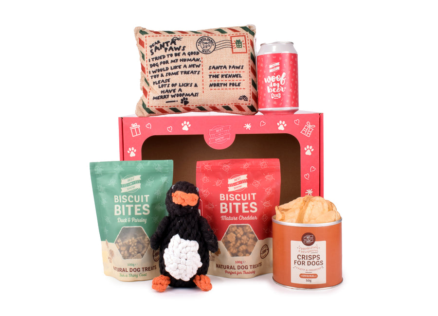 Best In Show Festive Gift Box